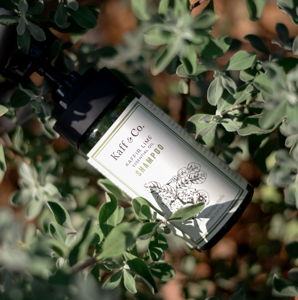 Kaffir Lime Shampoo
