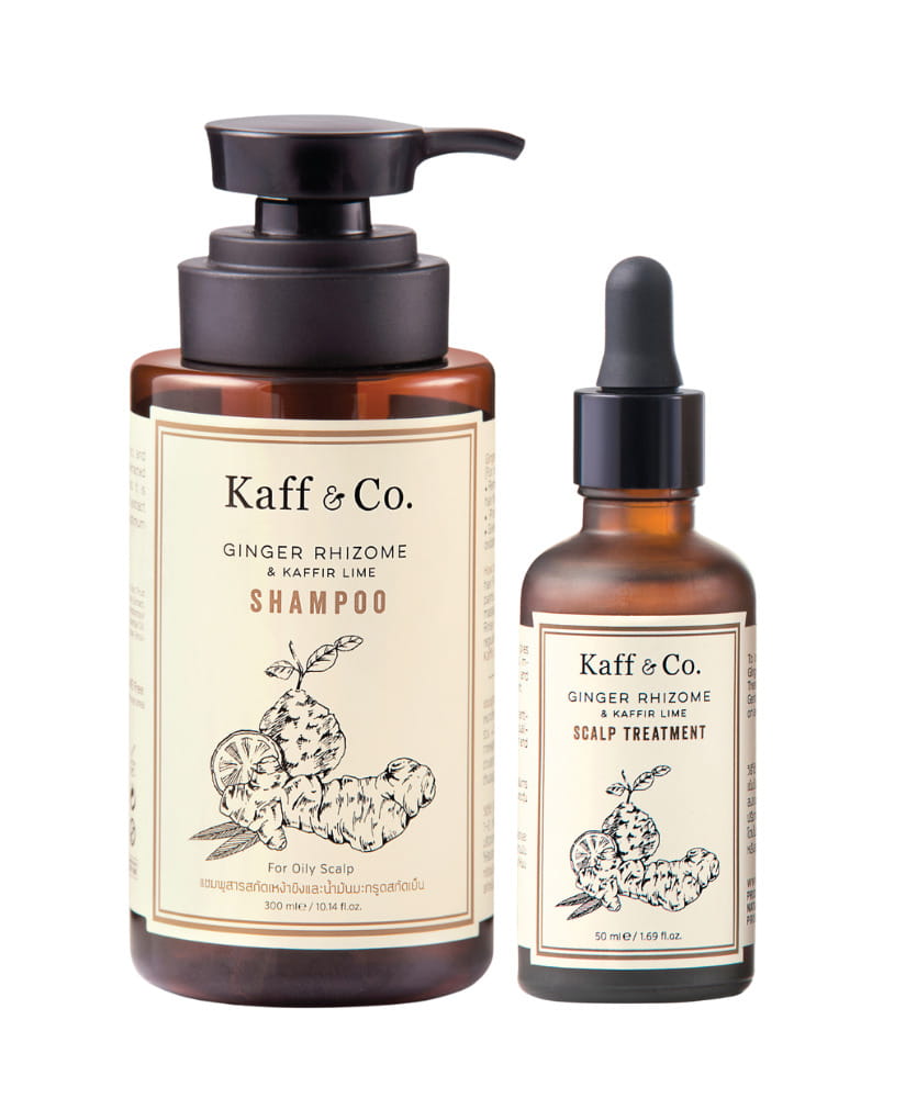 oily-scalp-and-hair-fall