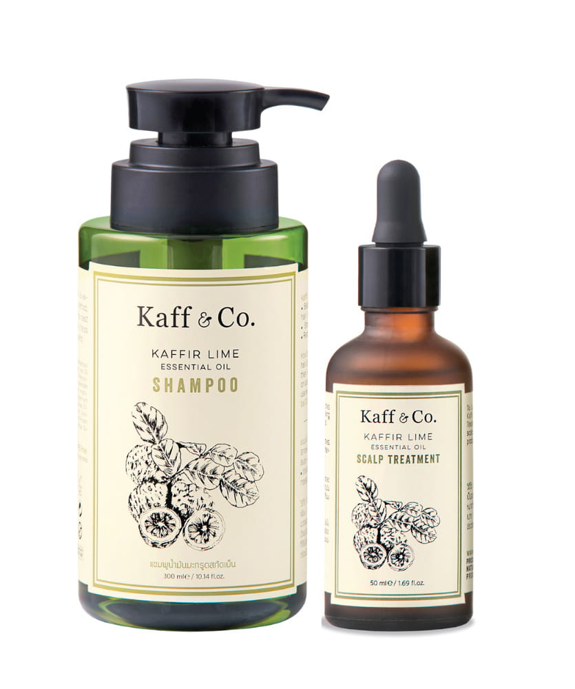 normal-scalp-and-dandruf